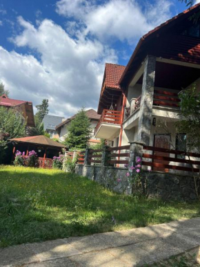 RED HOUSE Sinaia